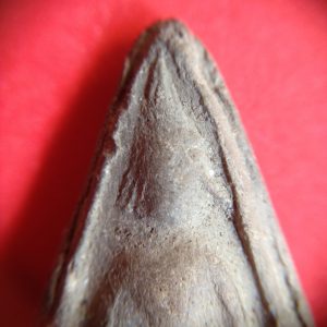 พระนางพญาเนื้อดิน กรุวัดดอนลาน จ. สุโขทัยพิมพ์ใหญ่ อายุเก่าหลายร้อยปีราคาไม่แพงน่าเก็บไว้บูชา องค์ที่ 6 - Image 2