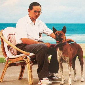 แสตมป์คุณทองแดงรวมชุด 4 ดวง - Image 4