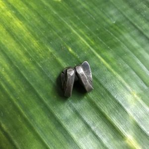 เงินเจียงเนื้อเงินปีกเล็ก ตอกตรา แสบและตราอี่นๆรอบตัว - Image 3