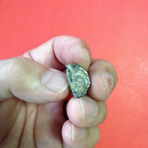 พระกริ่งหลวงพ่อโสธร วัดไร่ขิง อ. สามพราน จ.นครปฐม เนื้อนวะโลหะ ที่ฐานก้นอุดกริ่ง และปั้มตราสธ. สิรินธร - Image 4