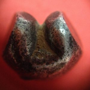 พดด้วงเม็ด 1 บาทสมัยพระเจ้าทรงธรรมปี พ.ศ. 2155-2171 ตรา เปลวเพลิง เป็นรูปคล้ายดวงไฟมีเปลวลอยสองข้าง สวยคมชัด (เม็ดที่ 1) - Image 3