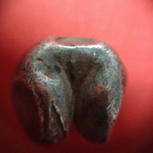 พดด้วงเม็ด 1 บาทสมัยพระเจ้าทรงธรรมปี พ.ศ. 2155-2171 ตรา เปลวเพลิง เป็นรูปคล้ายดวงไฟมีเปลวลอยสองข้าง สวยคมชัด (เม็ดที่ 4) - Image 4