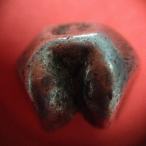 พดด้วงเม็ด 1 บาทสมัยพระนารายณ์ ปี พ. ศ. 2199-2231 ตราครุฑ สวยคมชัด (เม็ดที่ 1) - Image 4