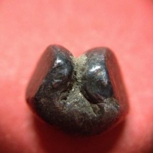 พดด้วงเม็ดสลึงสมัยอยุธยา ตราช้าง-ตราสังข์ สวยงามคมชัด เม็ดที่ 4 - Image 4