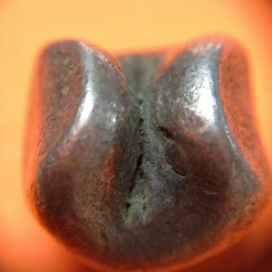 พดด้วงรัตนโกสินทร์เม็ดบาทสมัย ร. 4 พ.ศ.2394-2411 ( ตรามงกุฎ-กรงจักร ) เม็ดนี้พิเศษมี 3 ตรา  (เม็ดที่ 2) - Image 3