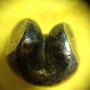 พดด้วงรัตนโกสินทร์เม็ดบาทสมัย ร.3 พ.ศ.2367-2394 ( ตราปราสาท-กรงจักร ) ตราปราสาทสวยงามคมชัดมากๆ (เม็ดที่ 2) - Image 4