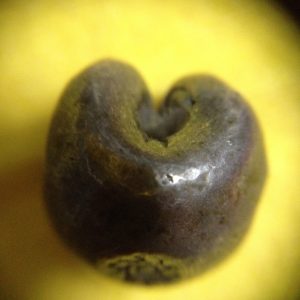 พดด้วงรัตนโกสินทร์เม็ดบาทสมัย ร.3 พ.ศ.2367-2394 ( ตราปราสาท-กรงจักร ) ตราปราสาทสวยงามคมชัดมากๆ (เม็ดที่ 4) - Image 3