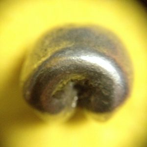 พดด้วงรัตนโกสินทร์เม็ดบาทสมัย ร.3 พ.ศ.2367-2394 ( ตราปราสาท-กรงจักร ) ตราปราสาทสวยงามคมชัดมากๆ (เม็ดที่ 5) - Image 3