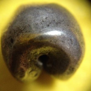 พดด้วงรัตนโกสินทร์เม็ดบาทสมัย ร.2 พ.ศ.2352-2367 (ตราครุฑ-กรงจักร ) ตราสวยงามเม็ดที่ 2 - Image 3