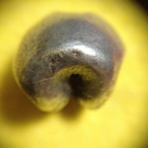 พดด้วงรัตนโกสินทร์เม็ดบาทสมัย ร.2 พ.ศ.2352-2367 (ตราครุฑ-กรงจักร )ตราครุฑสวยงามคมชัดมาก เม็ดที่ 3 - Image 3