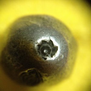 พดด้วงรัตนโกสินทร์เม็ดบาทสมัย ร.1 พ.ศ.2325-2352 (ตราอุณาโลม-กรงจักร )ตราสวยงามคลาสสิก เม็ดที่ 3 - Image 2