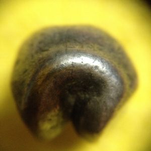 พดด้วงรัตนโกสินทร์เม็ดบาทสมัย ร.1 พ.ศ.2325-2352 (ตราอุณาโลม-กรงจักร )ตราสวยงามคลาสสิกตอกรอยเม็ดข้าวสารชัดเจน เม็ดที่ 5 - Image 3