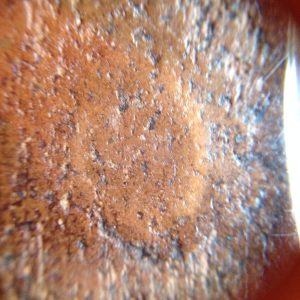 พระกรุหลวงพ่อปานขี่นกสมาธิ กรุเก่าคมชัดเลี่ยมทอง เนื้อฉ่ำดูง่ายสบายตา - Image 2