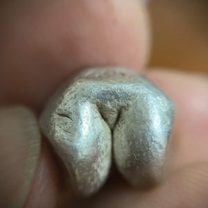 พดด้วงเม็ด 1 บาทสมัยพระเจ้าปราสาททองปี พ.ศ. 2173-2198 ตรา พุ่มข้าวบิณฑ์จอมปราสาท เป็นรูป 7 จุดอยู่ภายในกรอบ สวยคมชัดมากๆ (เม็ดที่ 2) - Image 3