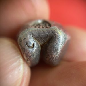 พดด้วงเม็ด 1 บาทสมัยพระเจ้าทรงธรรมปี พ.ศ. 2155-2171 ตรา เปลวเพลิง เป็นรูปคล้ายดวงไฟมีเปลวลอยสองข้าง สวยคมชัดมากๆหายากมากสภาพนี้ (เม็ดที่ 11) - Image 3