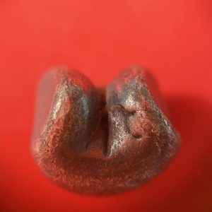 พดด้วงรัตนโกสินทร์เม็ดบาทสมัย ร.3 พ.ศ.2367-2394 ( ตราปราสาท-กรงจักร ) ตราปราสาทสวยงามคมชัดมากๆ (เม็ดที่ 7) - Image 4