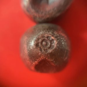 พดด้วงรัตนโกสินทร์เม็ดบาทสมัย ร.1 พ.ศ.2325-2352 (ตราอุณาโลม-กรงจักร )ตราสวยงามคลาสสิกเม็ดที่ 6 - Image 2