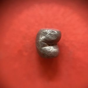 เงินพดด้วงสมัยอยุธยาขนาดตํ่ากว่าหนึ่งบาท(เฟื้อง) ตรา สังข์เนื้อเงินบริสุทธิ์ เม็ดนี้สวยคลาสสิค - Image 4