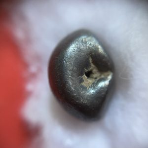 เม็ดเงินพดด้วงวงแหวนเก่าสมัยกรุงสุโขทัย มีบากใหญ่ หนักสามสลึง หายากมากๆ - Image 4