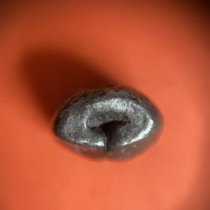 พดด้วงเม็ด 50 สตางค์ สมัยสุโขทัยตราสังข์ - พุ่มหก มีบากปีกกว้าง ที่ขามีตอกตราวัว 2 ข้าง - Image 2