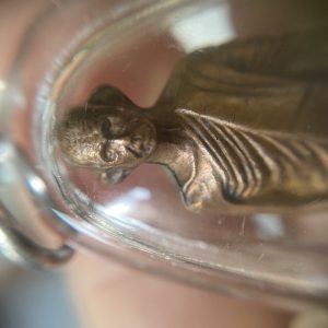 หล่อหลวงพ่อเดิม เนื้อทองแดง เลี่ยมพลาสติกกันนำ้อย่างดี ( ไม่ทราบรุ่น พิธี ) - Image 4