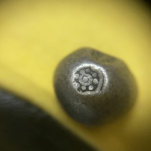 พดด้วงเม็ด 1 บาทสมัยพระนารายณ์ปี พ.ศ. 2199-2231ตราครุฑ (เป็นครุฑก้าวหน้า) เม็ดที่ 17 ตราประจำแผ่นดินชัดมากๆ - Image 2