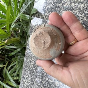 สังคโลกเก่ารูป คณโฑนำ้กระปุกใบเตี้ยมีหู 2 หู ชนิดดินเคลือบนำัยาสีเขียวไข่กาไม่มีลวดลายใบเล็กจิ๋ว สภาพสวยสมบูรณ์ - Image 3